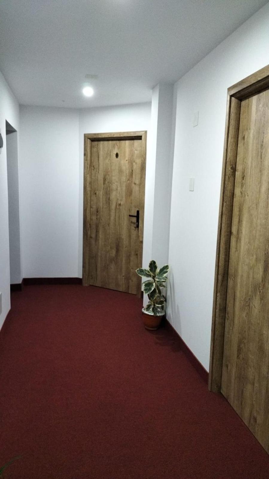 Pensiune Stirbu Borşa Exterior foto