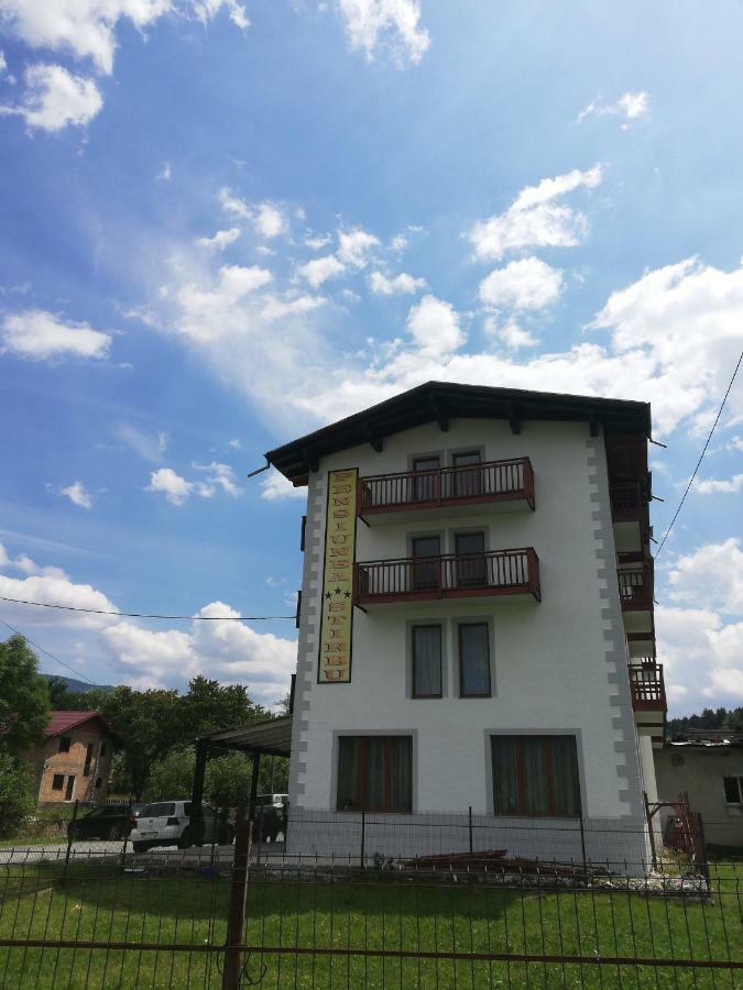 Pensiune Stirbu Borşa Exterior foto